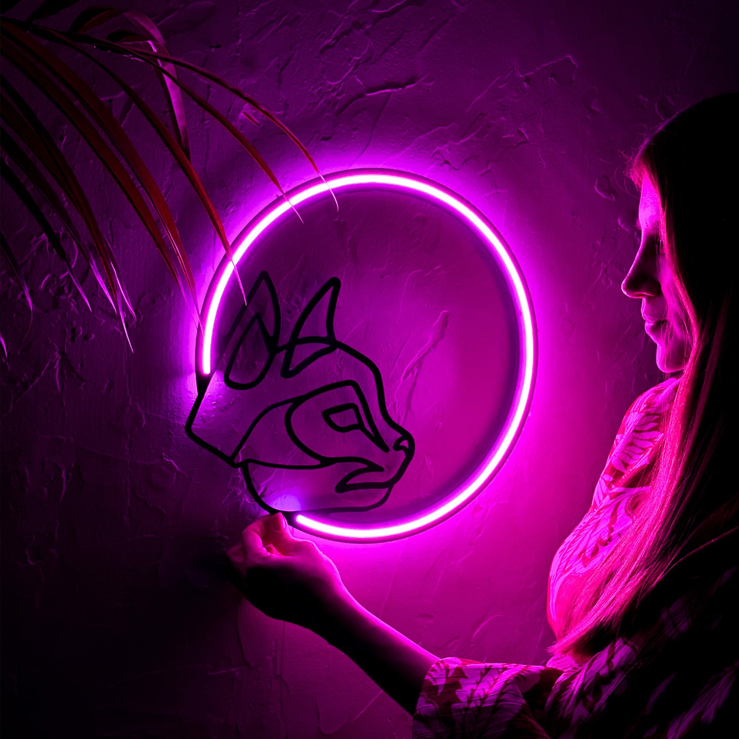 Kitty and the Moon