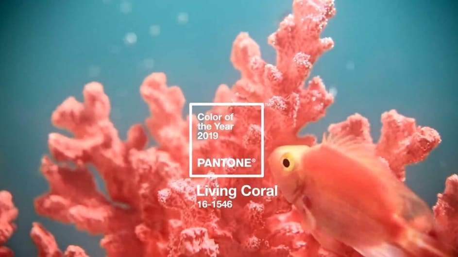 Pantone’nin 2019 Yılı Rengi "Living Coral"ı Tanıyalım