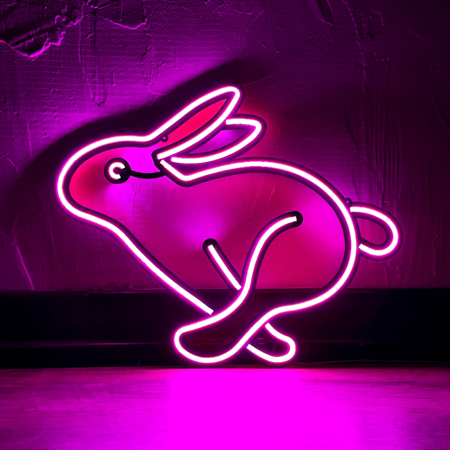 Rabbit 1