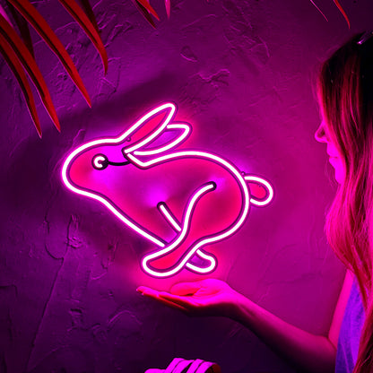 Rabbit 1