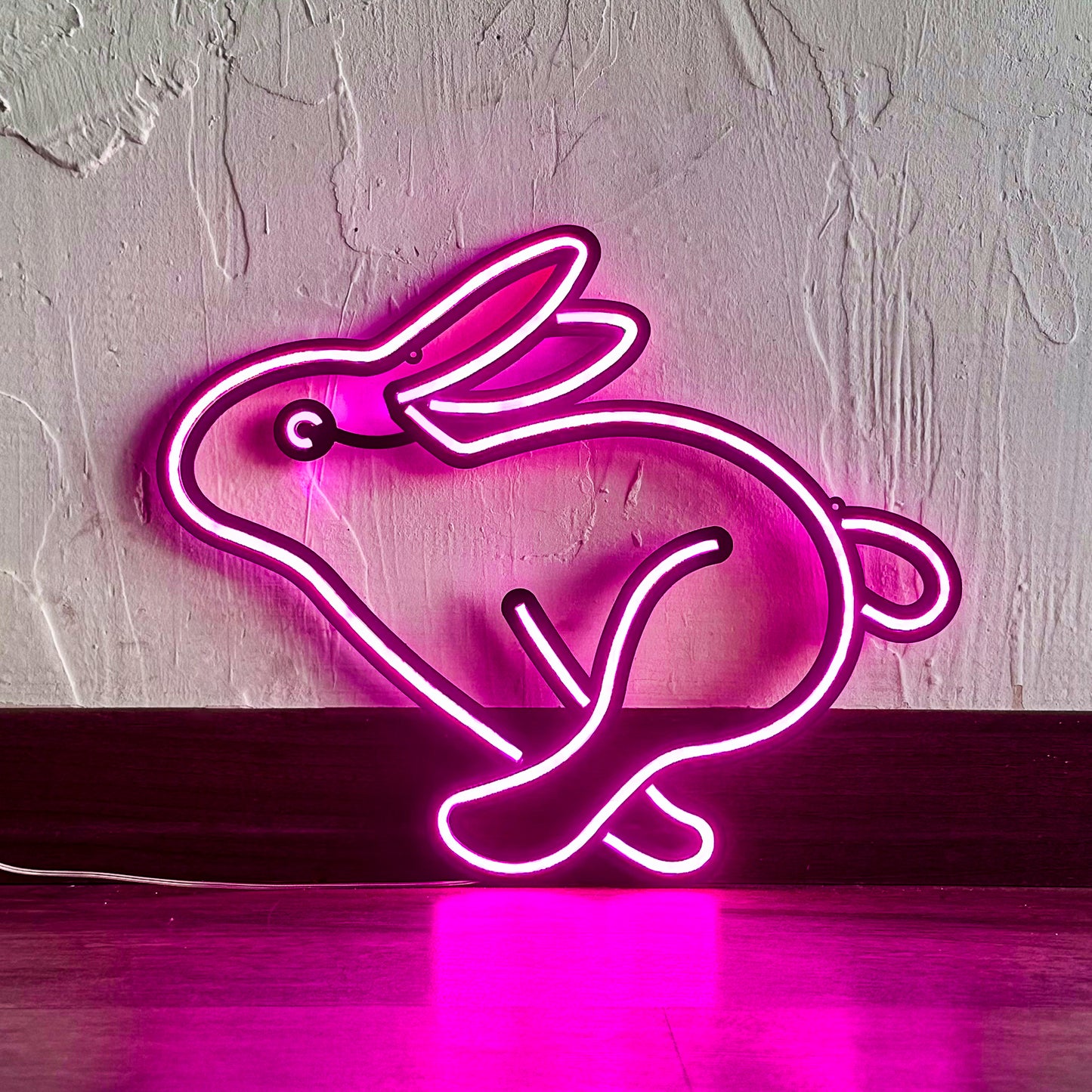Rabbit 1