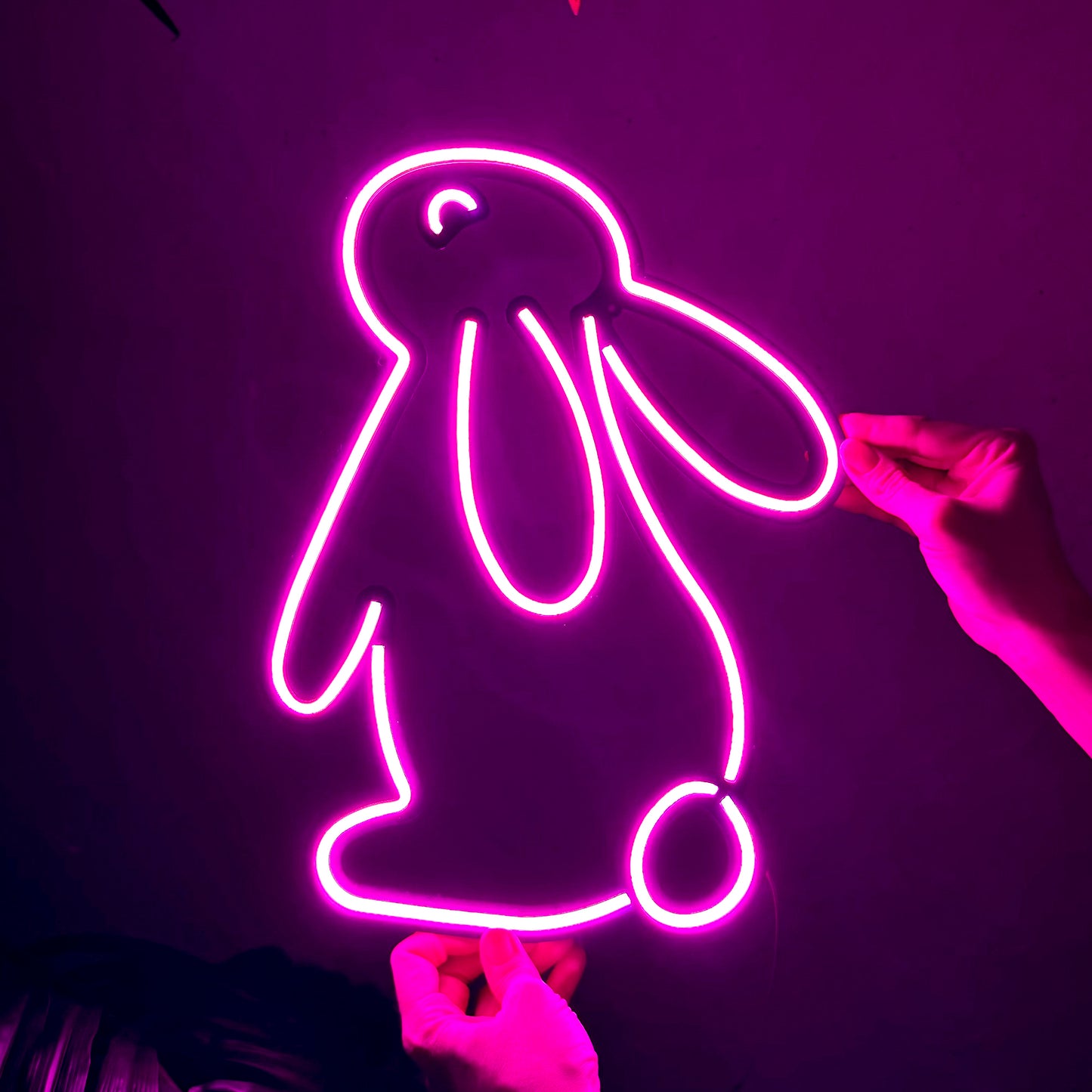 Rabbit 2