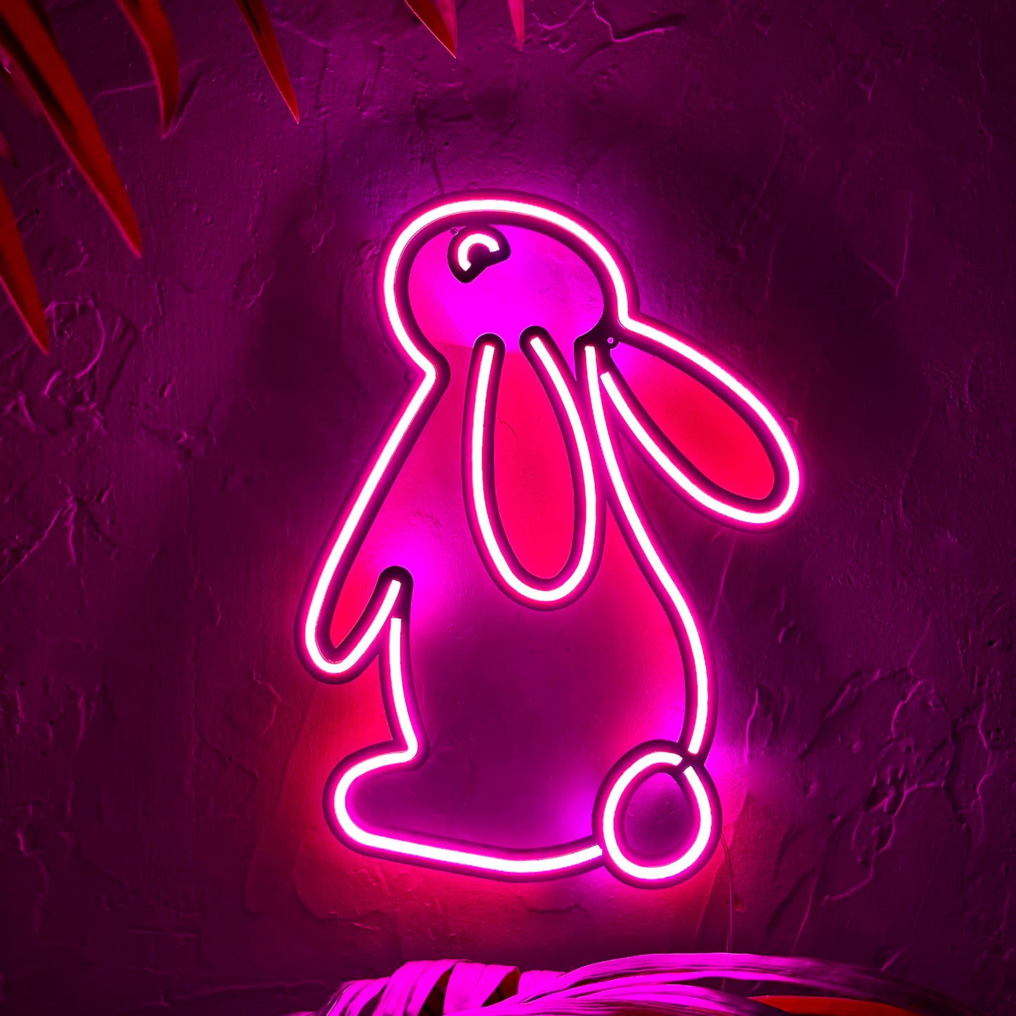 Rabbit 2