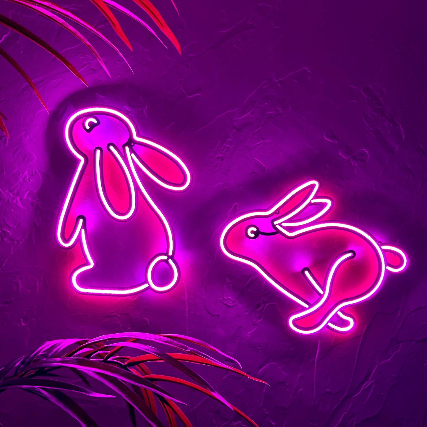Rabbit 2