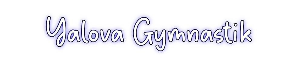 Custom Neon Order: Yalova Gymnas...